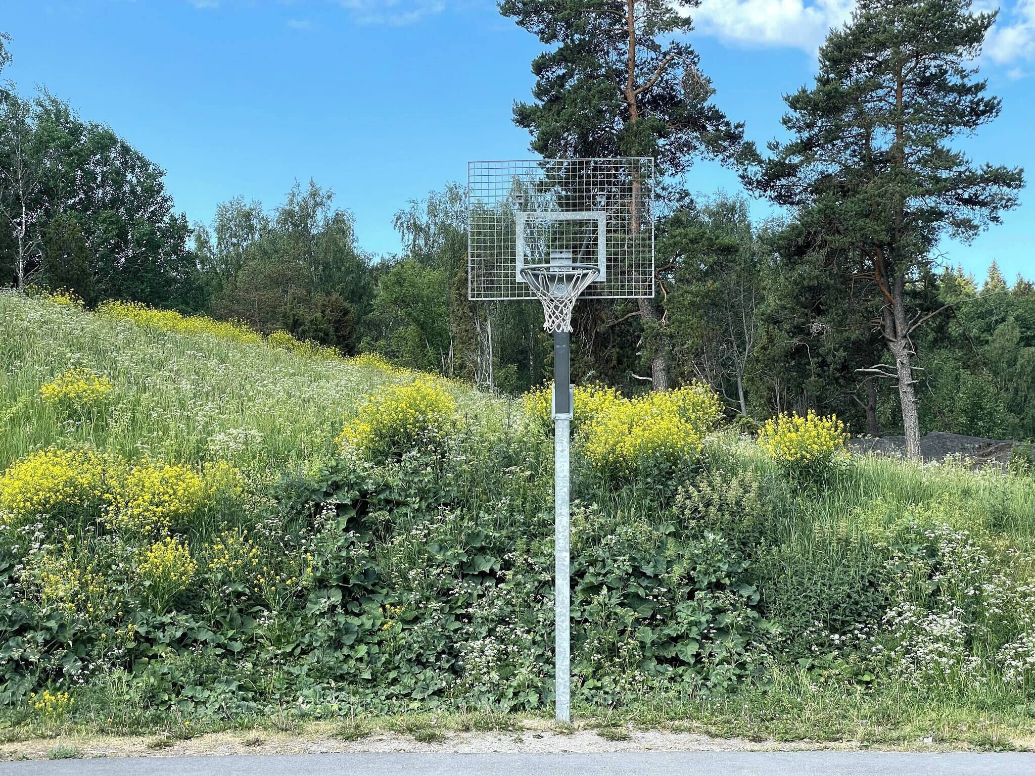 Nhà, 4 phòng ngủ, hồ bơi riêng, quang cảnh vườn