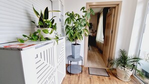 A narrow hallway with a white wall, a potted plant on a small table, and a door at the end.