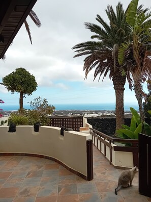 Billede uden beskrivelse, 3 af 36, knap