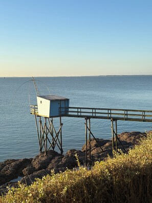 Billede uden beskrivelse, 4 af 25, knap