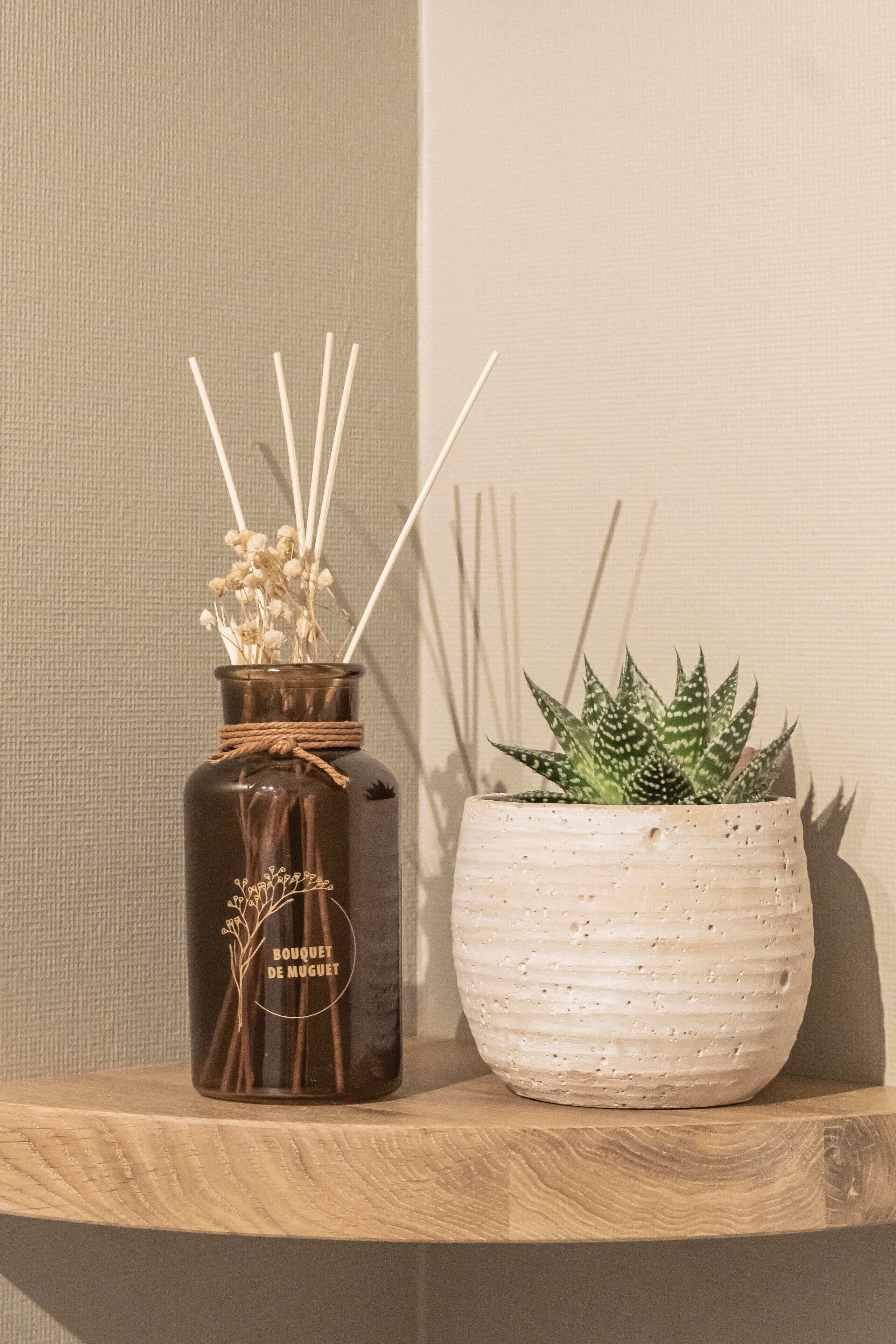 Eine dunkelbraune Glasflasche mit Pflanze und Schilfhalmen auf einem Holzregal vor einer strukturierten Wand.