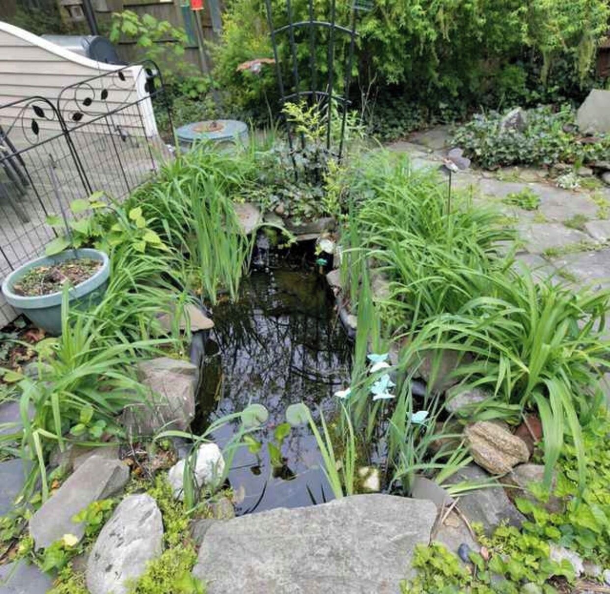 Enceinte de l’hébergement