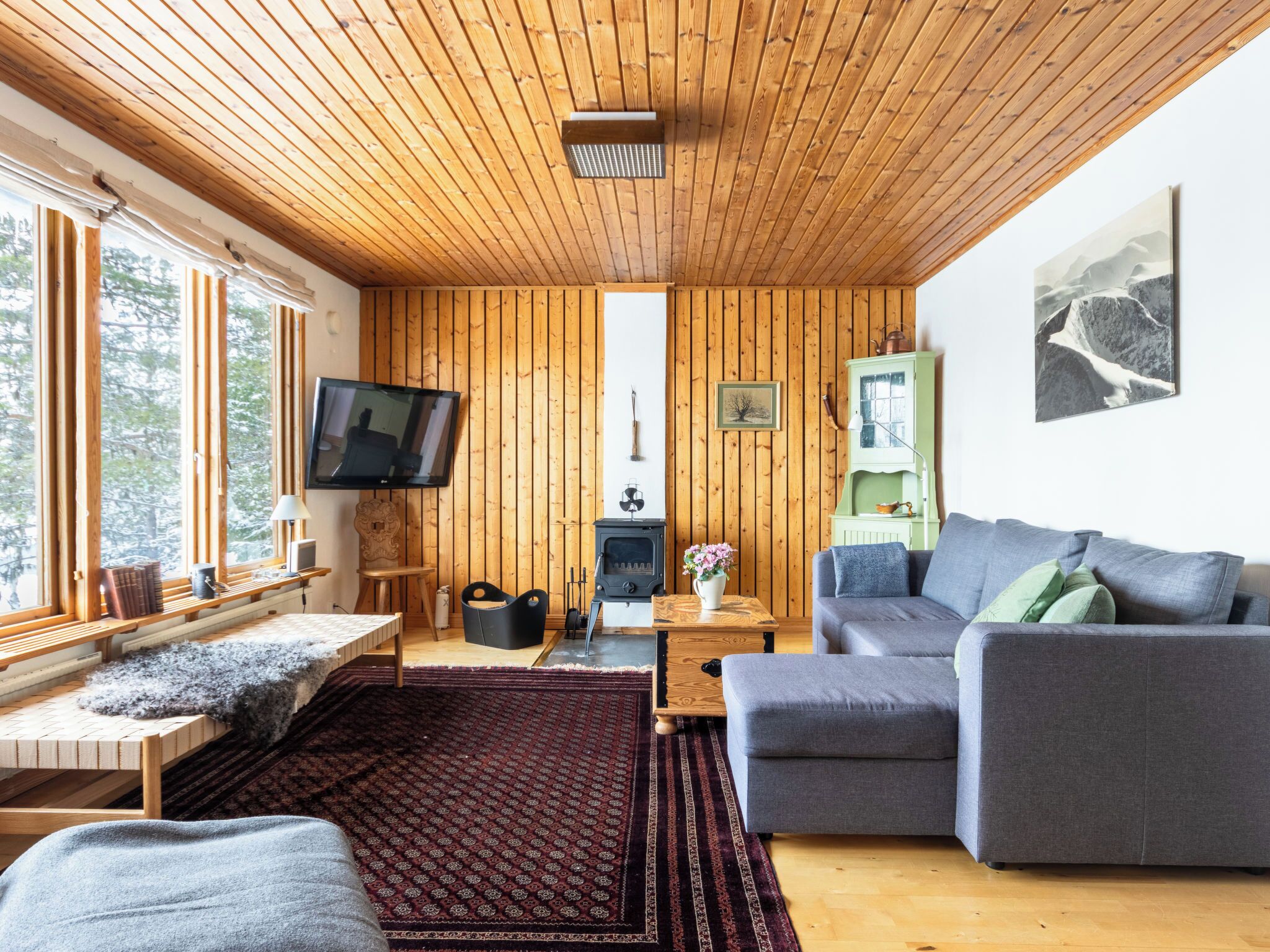 TV, fireplace
