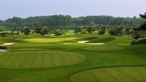 Un campo de golf con césped cuidado, bunkers de arena y árboles al fondo.
