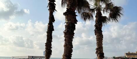 Accommodatie ligt op het strand