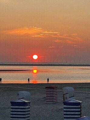 Beach - Little seagull (Borkum)