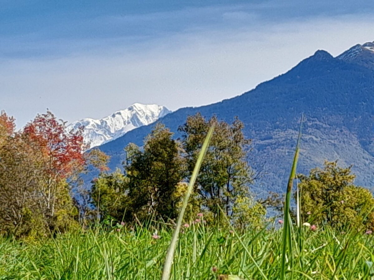 Image de profil de l’hôte