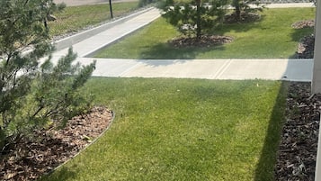 Shared Dormitory, 1 Bedroom, Accessible | Property grounds