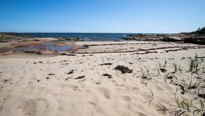 Ein sandiger Strand mit vereinzelten Steinen und Seetang.