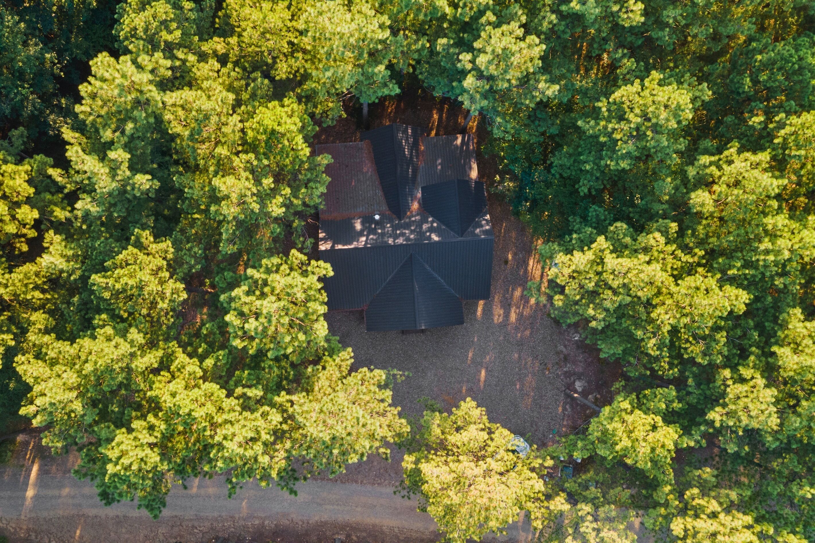 Une vue aérienne d’un bâtiment entouré d’un feuillage verdoyant et dense.