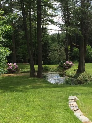 Property grounds - Peaceful Log Cabin in the Woods (Groton)
