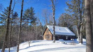 Uma cabana de toras com telhado coberto de neve, rodeada por árvores altas e um céu azul límpido.
