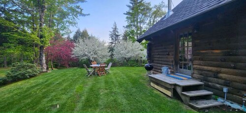 Peaceful Log Cabin in the Woods