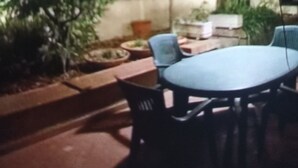 Un espace extérieur aménagé en terrasse, avec une table et des chaises, entouré de plantes en pot et doté d’un toit abrité.