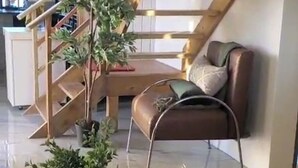 Un salon moderne avec un escalier, un canapé en cuir marron, une table basse ronde ornée d’une petite figurine d’éléphant et une grande plante en pot.