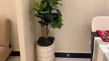 Apartment, 1 Bedroom, Accessible, City View | Interior