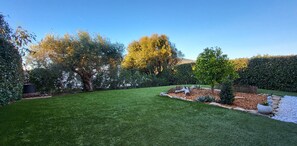 Unclassified image, 4 of 26, button