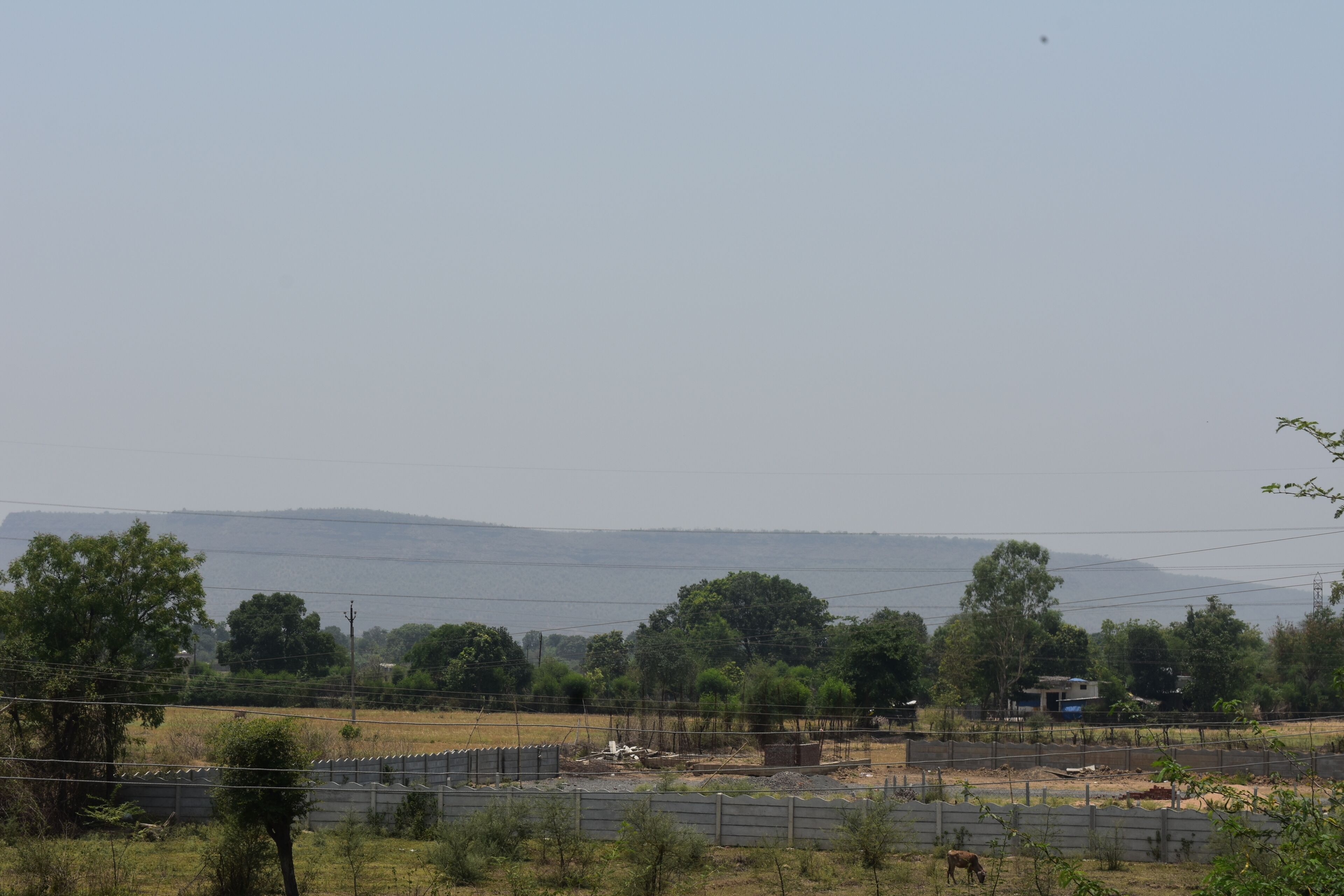 Paisaje rural con una zona cercada, árboles y una colina distante.