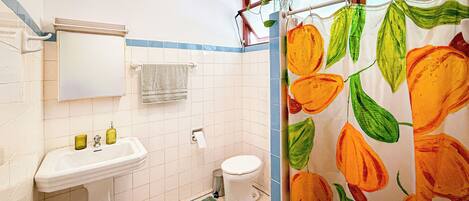Towels, soap, shampoo, toilet paper