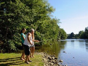 Unclassified image, 5 of 36, button