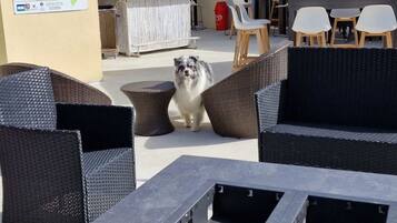 Enceinte de lâhĂ©bergement