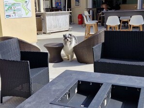 Àrea exterior de l'allotjament