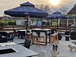 Imagen sin descripción, 5 de 29, botón