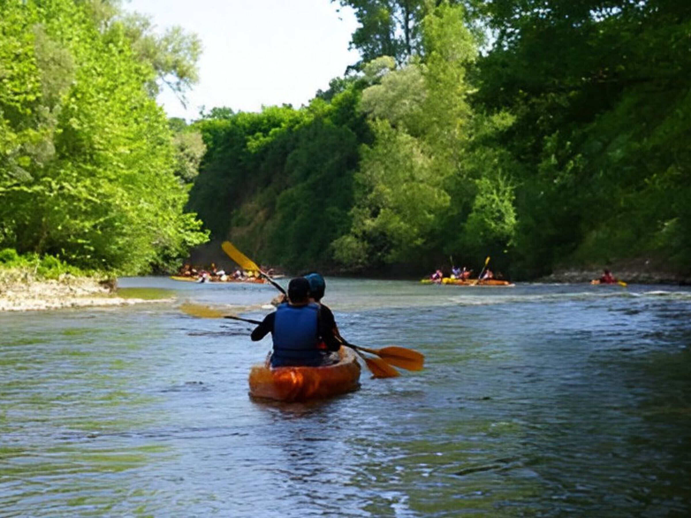 A kayaker on a river surrounded by dense greenery.