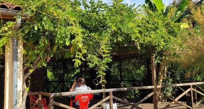 Gemütliches Chalet mit Terrasse - 5 Pers