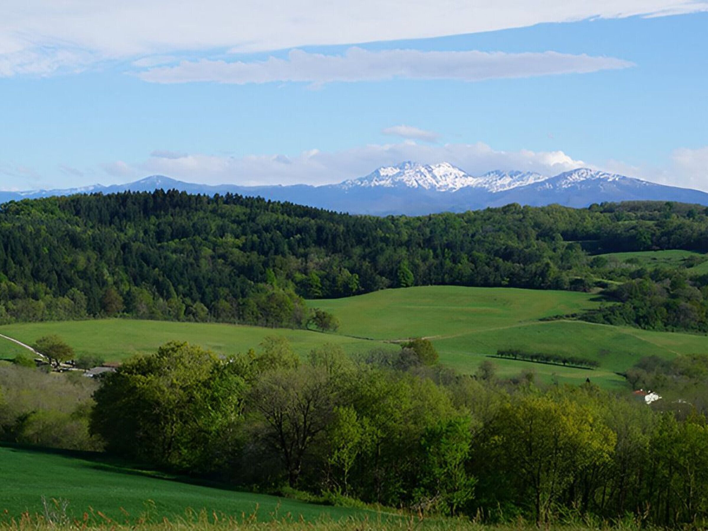Ländliche Landschaft mit sanften grünen Hügeln, einem bewaldeten Hügel und einem Bergmassiv mit schneebedeckten Gipfeln im Hintergrund.
