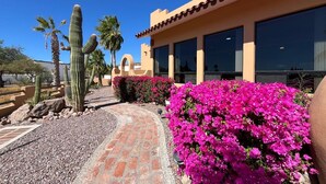 Een gebouw met een pad van baksteen, cactussen en roze bloemen.