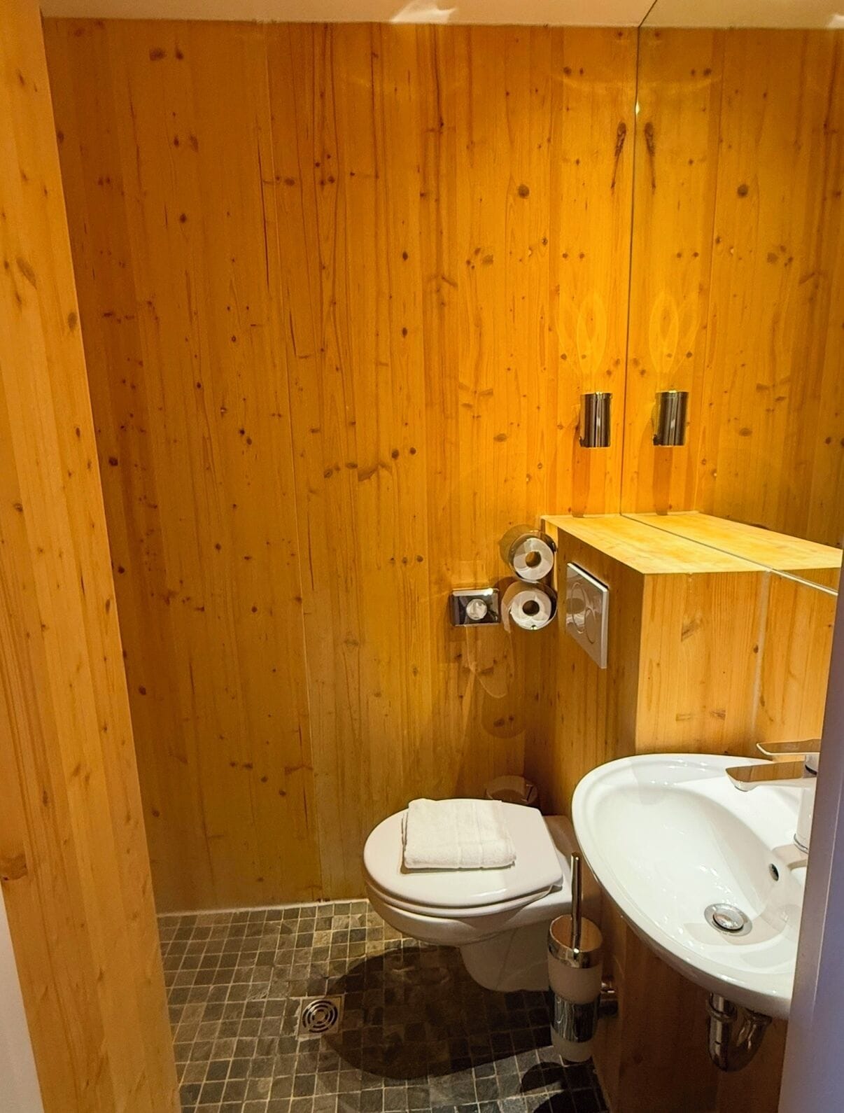 Basic-Einzelzimmer | Badezimmer | Dusche, Handtücher, Seife, Shampoo