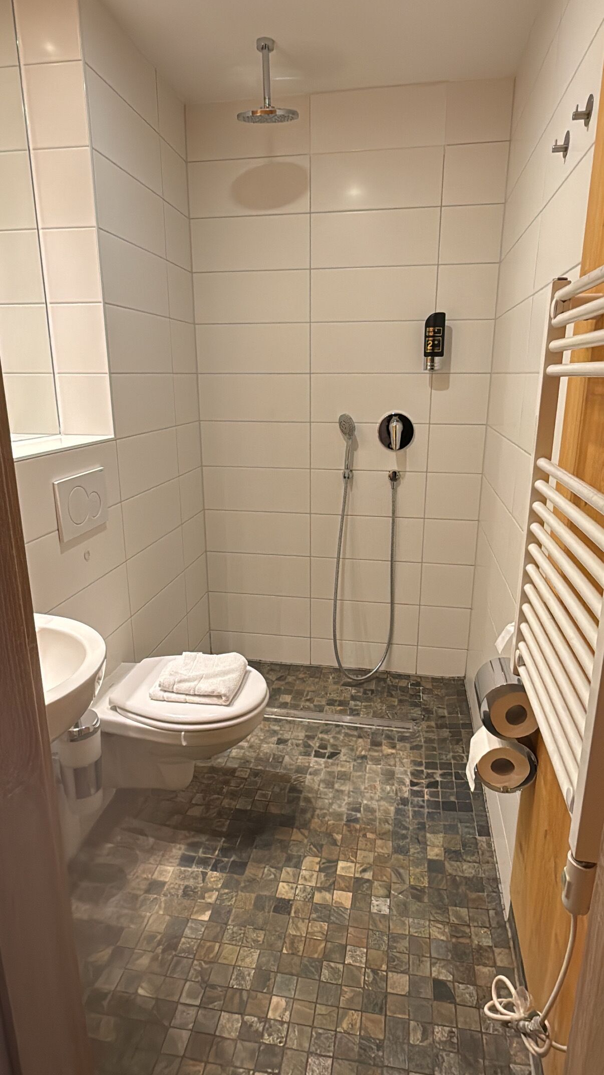 A small bathroom with a toilet, a shower with a handheld showerhead, and a towel rack.