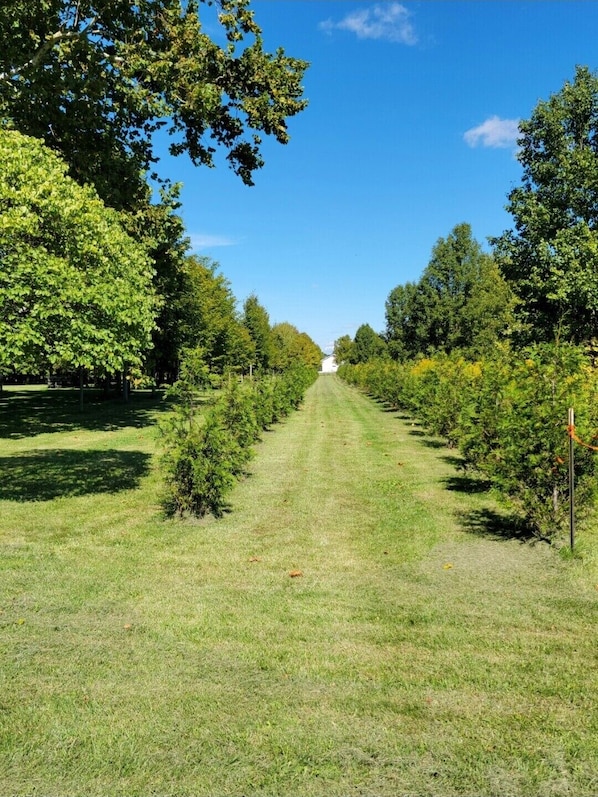 Nicht klassifiziertes Bild, 1 von 8, Schaltfläche