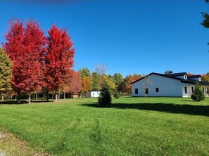 星評価なしの画像、2 / 8、ボタン