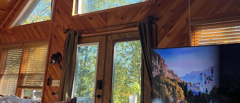 TV connectée, cheminée, livres