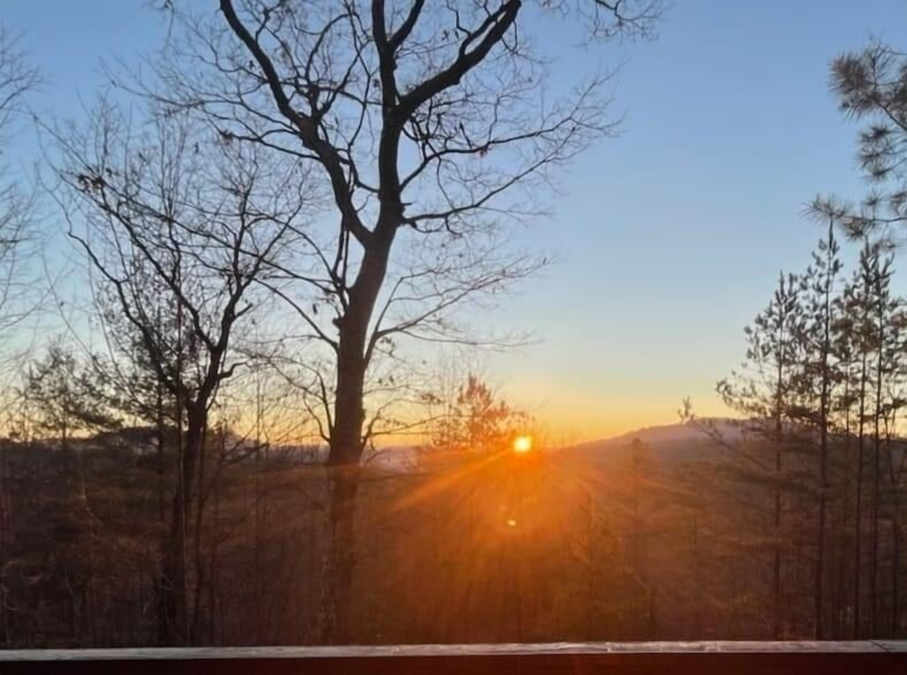 Vista desde la propiedad