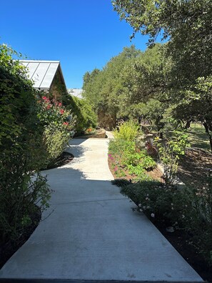 Property grounds - Primrose Place; spring-fed creek with spacious yard & porch (Kerrville)