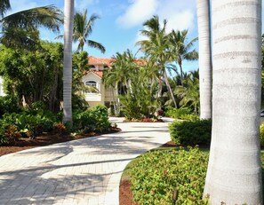 Luokittelematon kuva, 5 kautta 25, painike