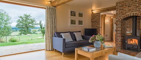 Televisión, chimenea