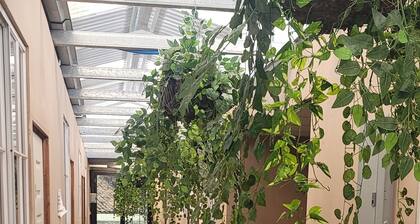 Casa de Huespedes Noche de Luna