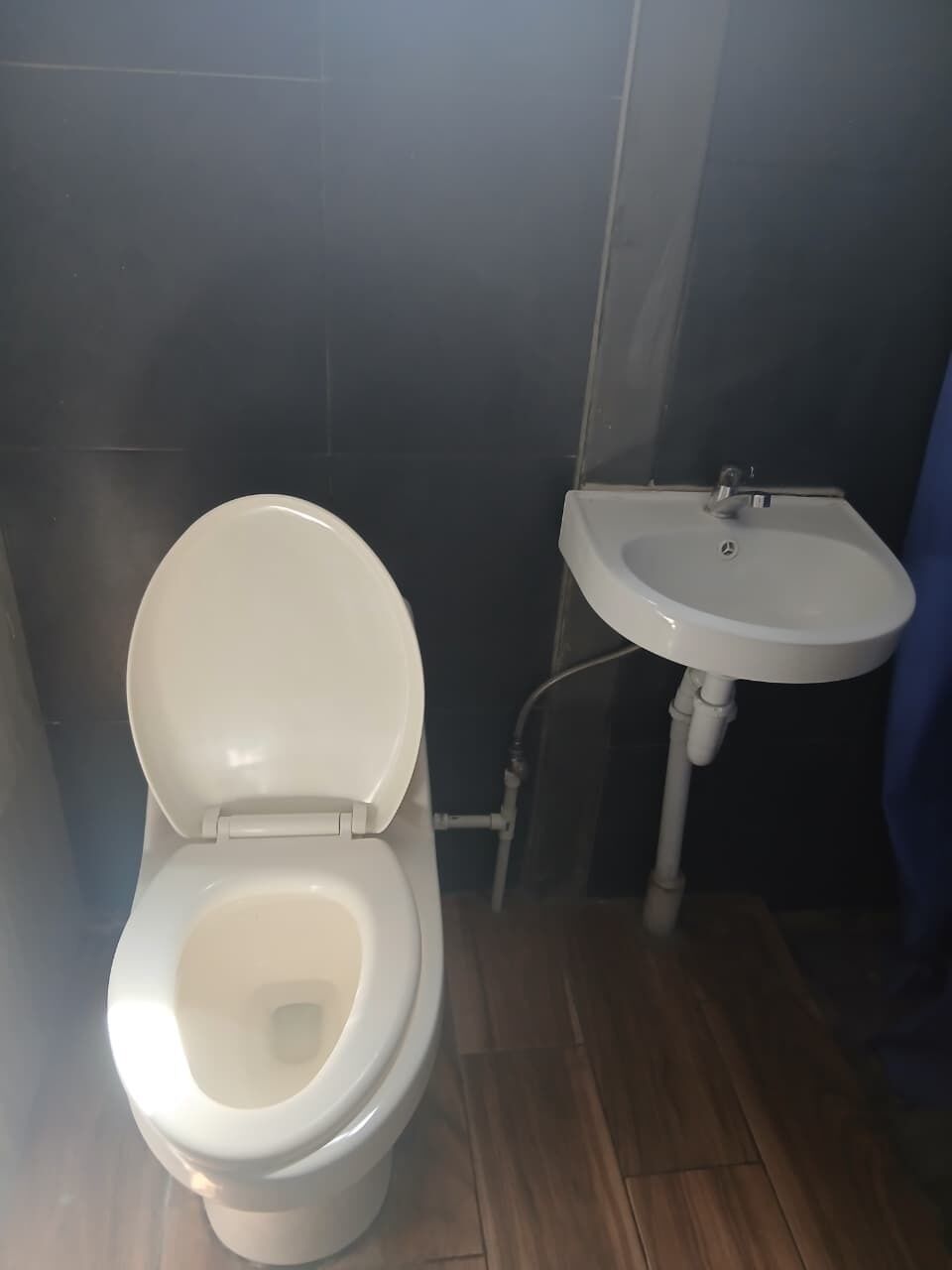 A bathroom with a toilet and a sink.