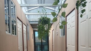 A hallway with wooden flooring, white doors, and a hanging plant. - Casa de Huespedes Noche de Luna (San Salvador)
