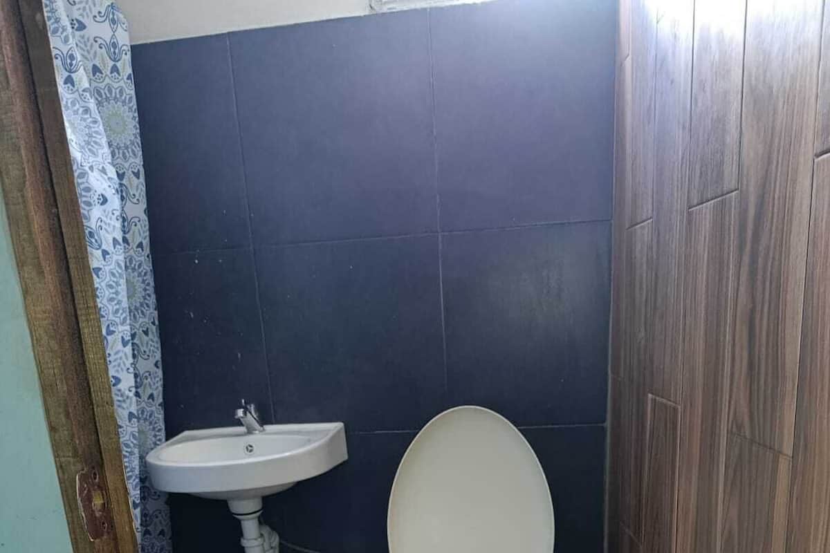 Shower, towels, soap, toilet paper