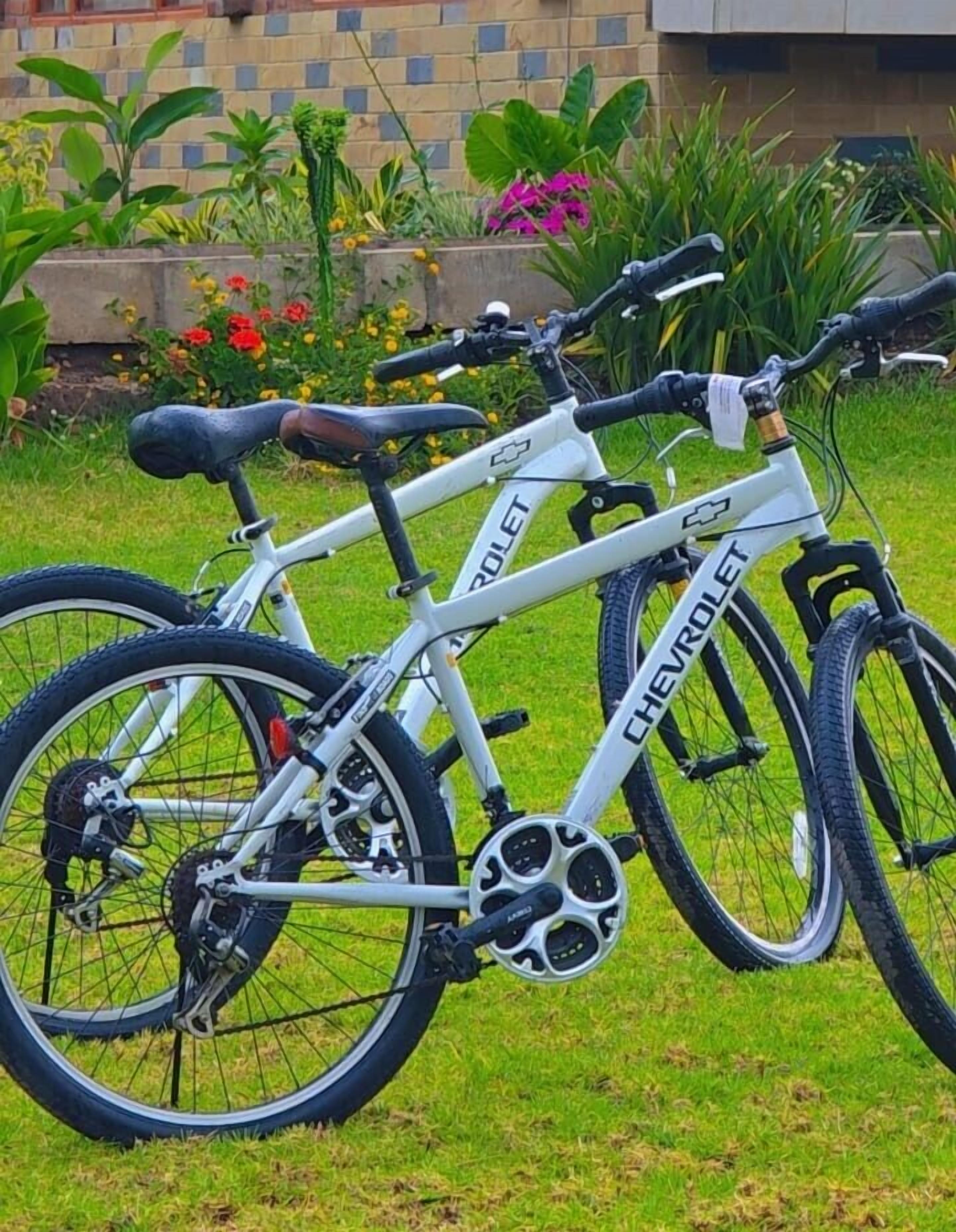 A white bicycle with 'CHEVROLET' branding, parked on grass with a brick wall and plants in the background.