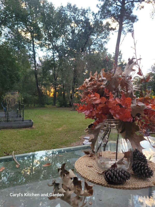 Unclassified image, 1 of 13, button