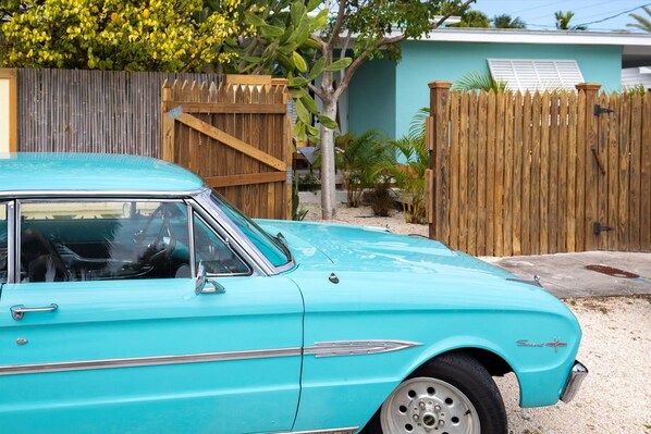 Luokittelematon kuva, 1 kautta 35, painike