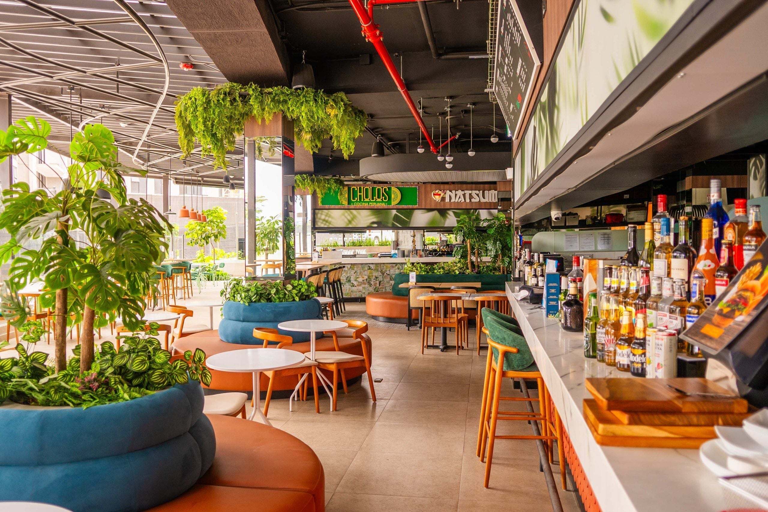 Bar (en la propiedad)