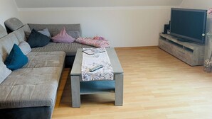 Ein Wohnzimmer mit grauem Sofa, Couchtisch und TV-Schrank.