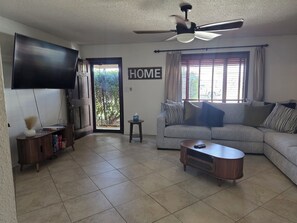 Smart TV, books - Laylas lounge welcomes familes and furr babie as well. (Carlsbad)